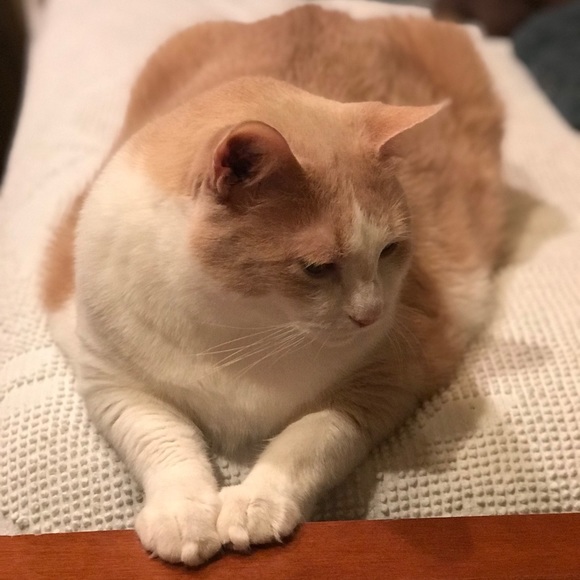 MzPamPosh - Picture 7 of 8